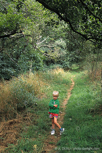 petit garon dans une prairie - little boy in a meadow